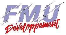 ERP FMU Développement